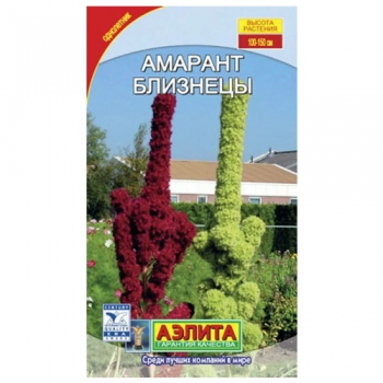 Амарант Близнецы, смесь окрасок