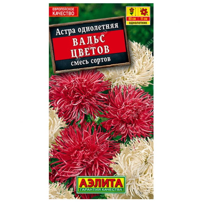 Астра Вальс цветов, смесь окрасок
