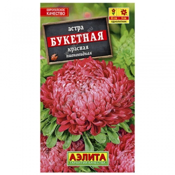 Астра Букетная красная
