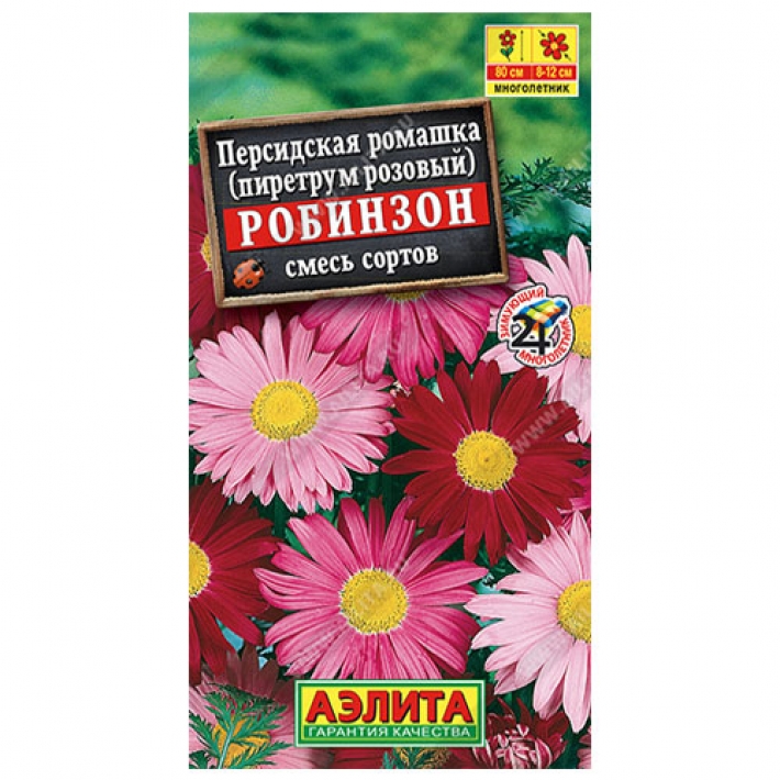 Персидская ромашка Робинзон, смесь сортов