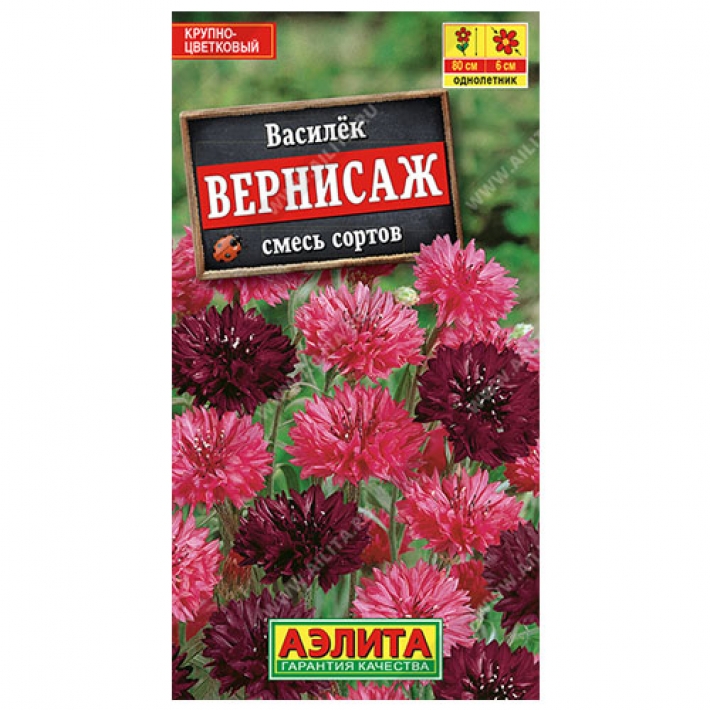 Василек Вернисаж, смесь сортов