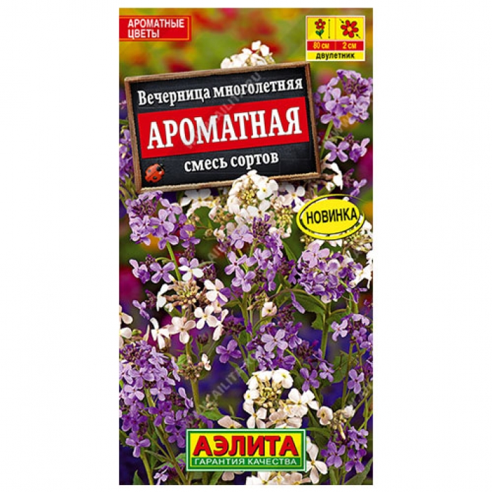 Вечерница Ароматная, смесь сортов