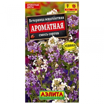 Вечерница Ароматная, смесь сортов