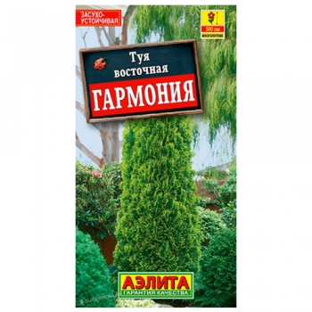 Туя восточная Гармония