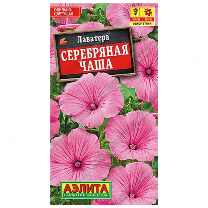 Лаватера Серебряная чаша