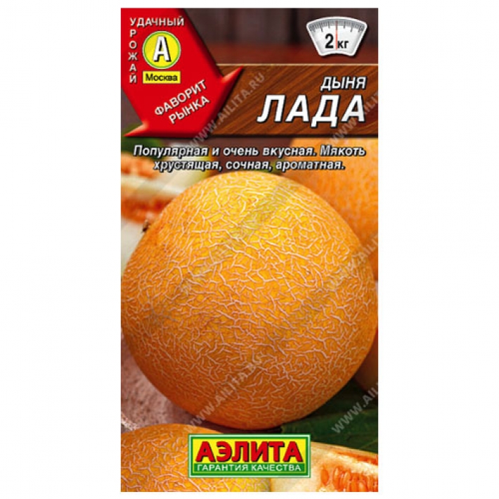 Дыня Лада