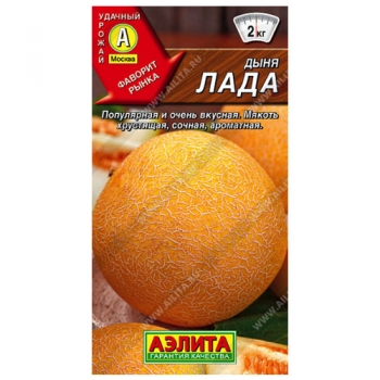 Дыня Лада