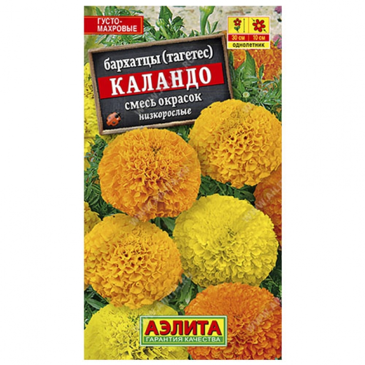 Бархатцы Каландо, смесь окрасок