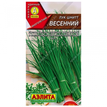 Лук шнитт Весенний