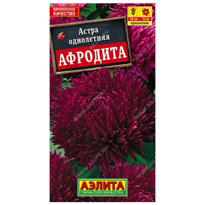 Астра Афродита