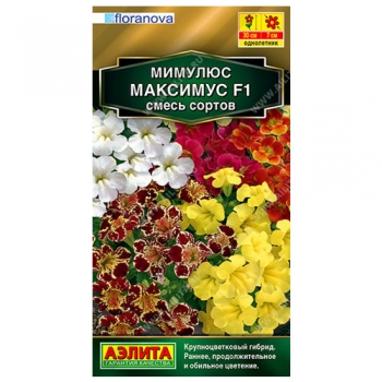 Мимулюс Максимус F1, смесь окрасок