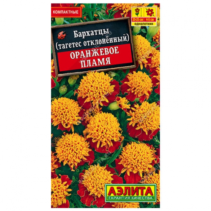 Бархатцы Оранжевое пламя отклоненные