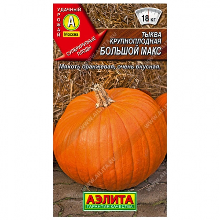 Тыква крупноплодная Большой Макс