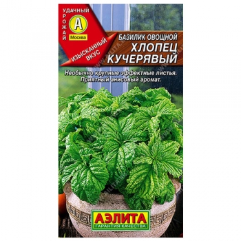 Базилик овощной Хлопец кучерявый
