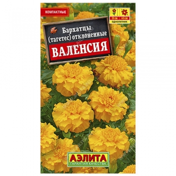 Бархатцы Валенсия отклоненные