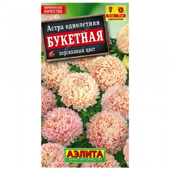 Астра Букетная персиковый цвет
