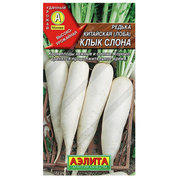 Редька китайская Клык слона