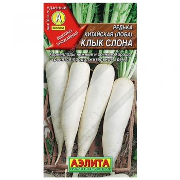 Редька китайская Клык слона