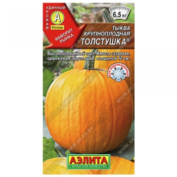 Тыква крупноплодная Толстушка &reg;