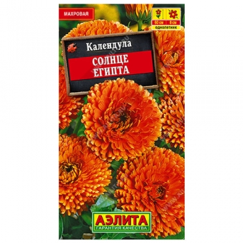 Календула Солнце Египта