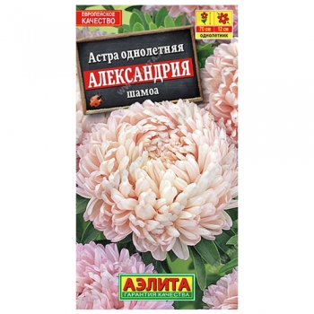 Астра Александрия шамоа