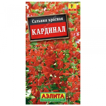 Сальвия Кардинал