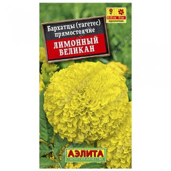 Бархатцы Лимонный великан прямостоячие