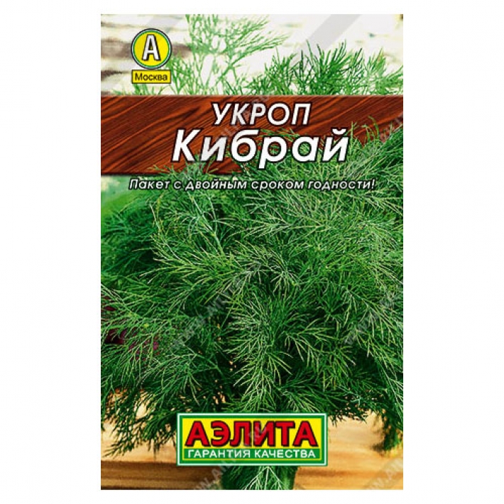 Укроп Кибрай