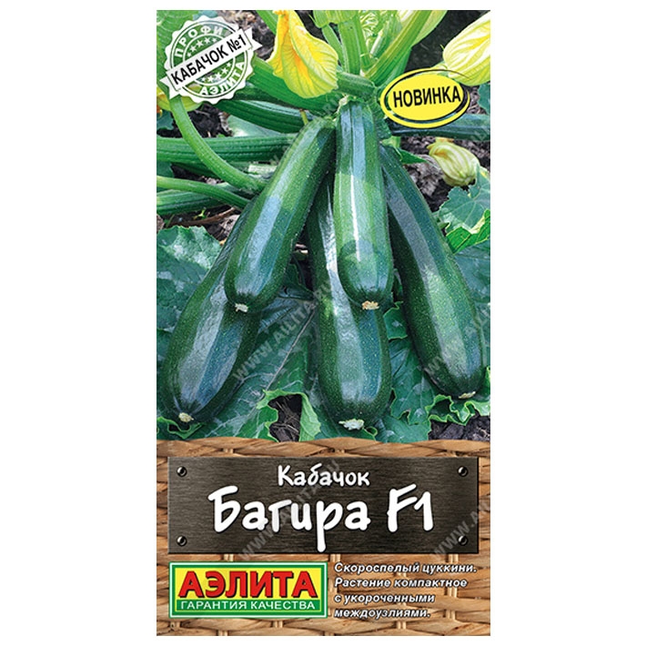 Кабачок цуккини Багира F1