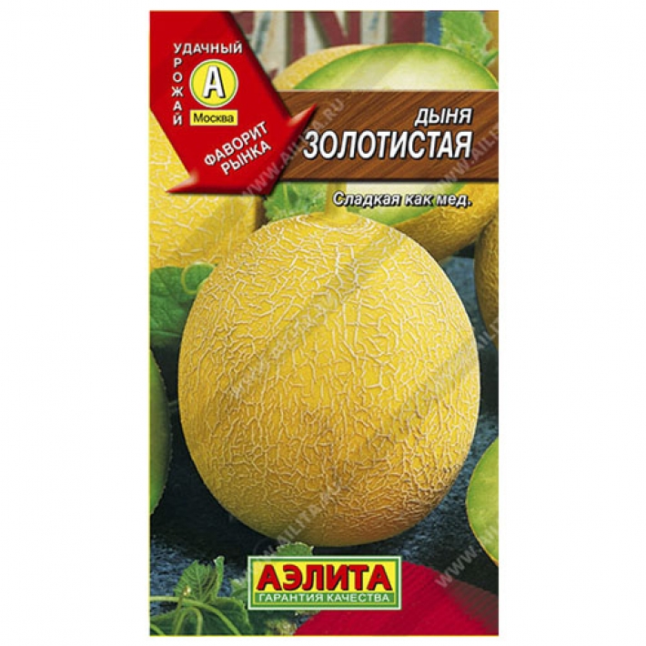 Дыня Золотистая