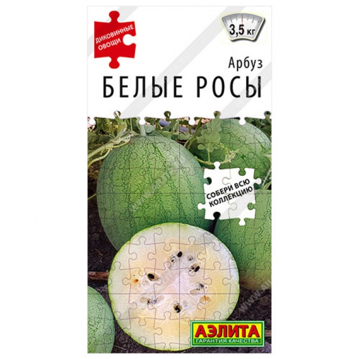 Арбуз Белые росы