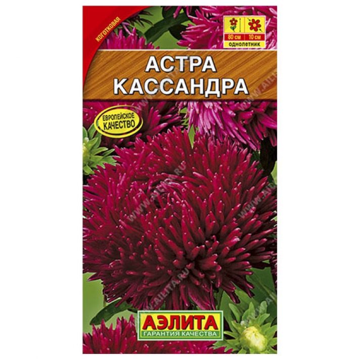 Астра Кассандра