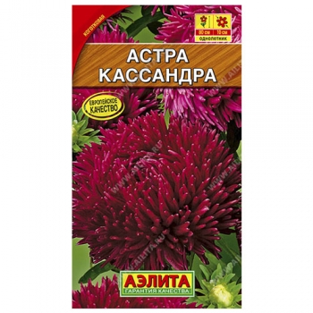 Астра Кассандра