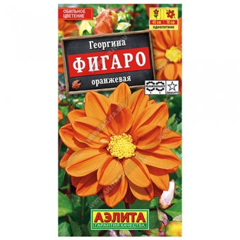 Георгина Фигаро махровая оранжевая