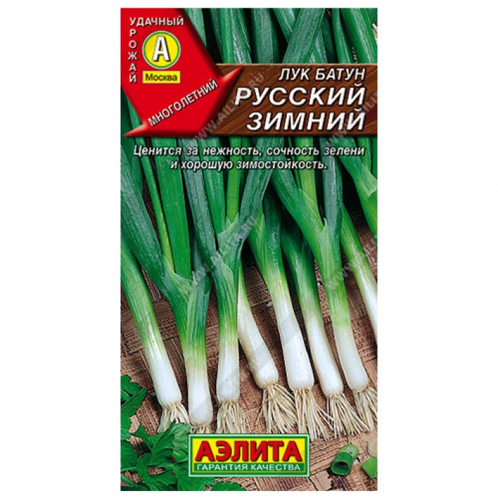 Лук батун Русский зимний