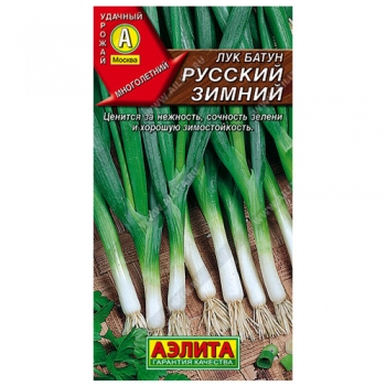 Лук батун Русский зимний