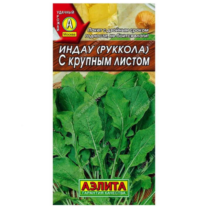 Индау (руккола) с крупным листом