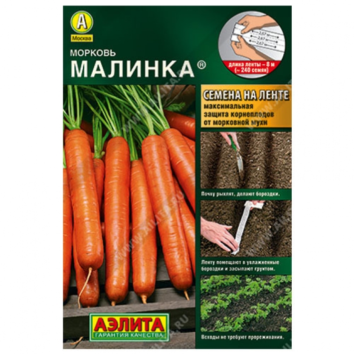 Морковь Малинка &reg;