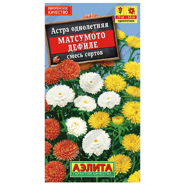 Астра Матсумото Дефиле, смесь окрасок