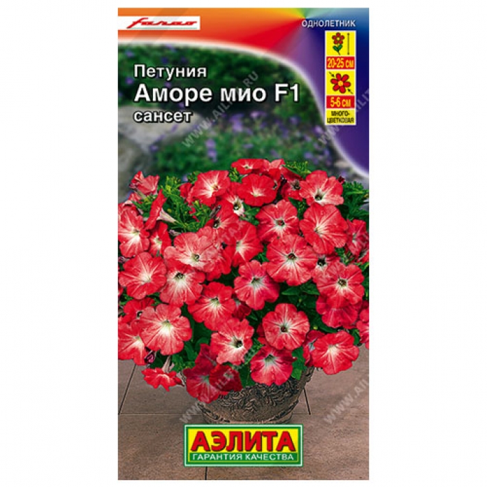 Петуния Аморе Мио сансет F1