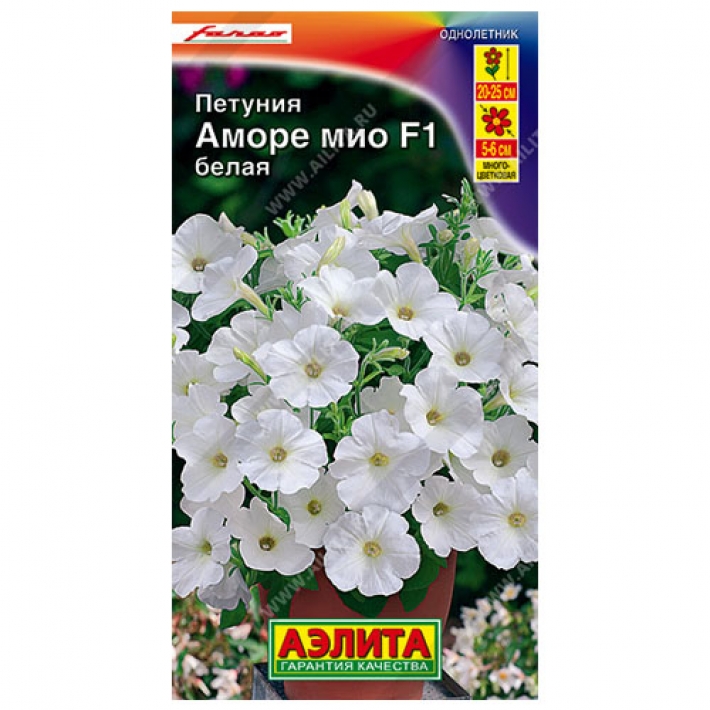 Петуния Аморе Мио белая F1
