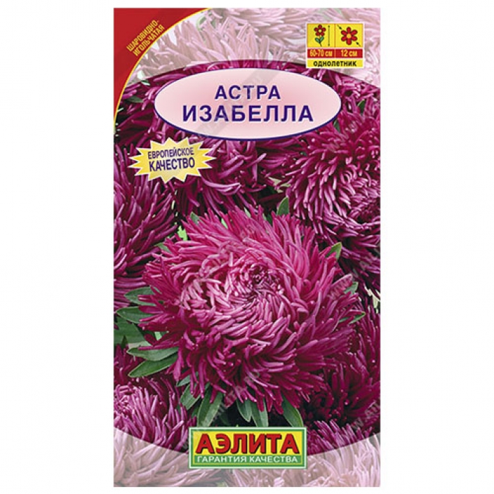 Астра Изабелла