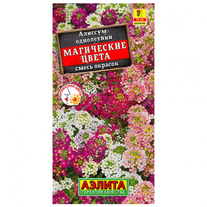 Алиссум Магические цвета, смесь сортов