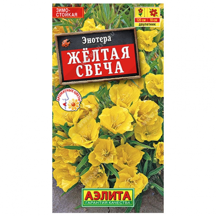 Энотера Желтая свеча
