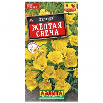 Энотера Желтая свеча