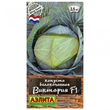 Капуста б/к Виктория F1