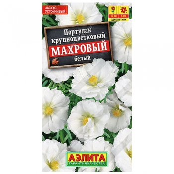 Портулак махровый белый