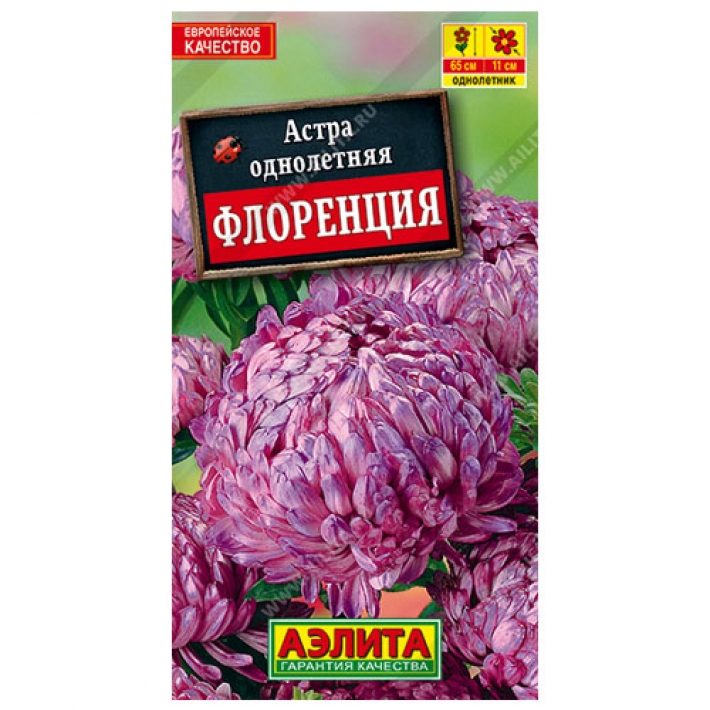Астра Флоренция