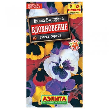 Виола Вдохновение, смесь сортов