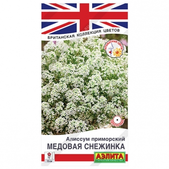 Алиссум Медовая снежинка